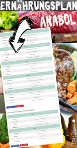 Anaboler Ernährungsplan Pin
